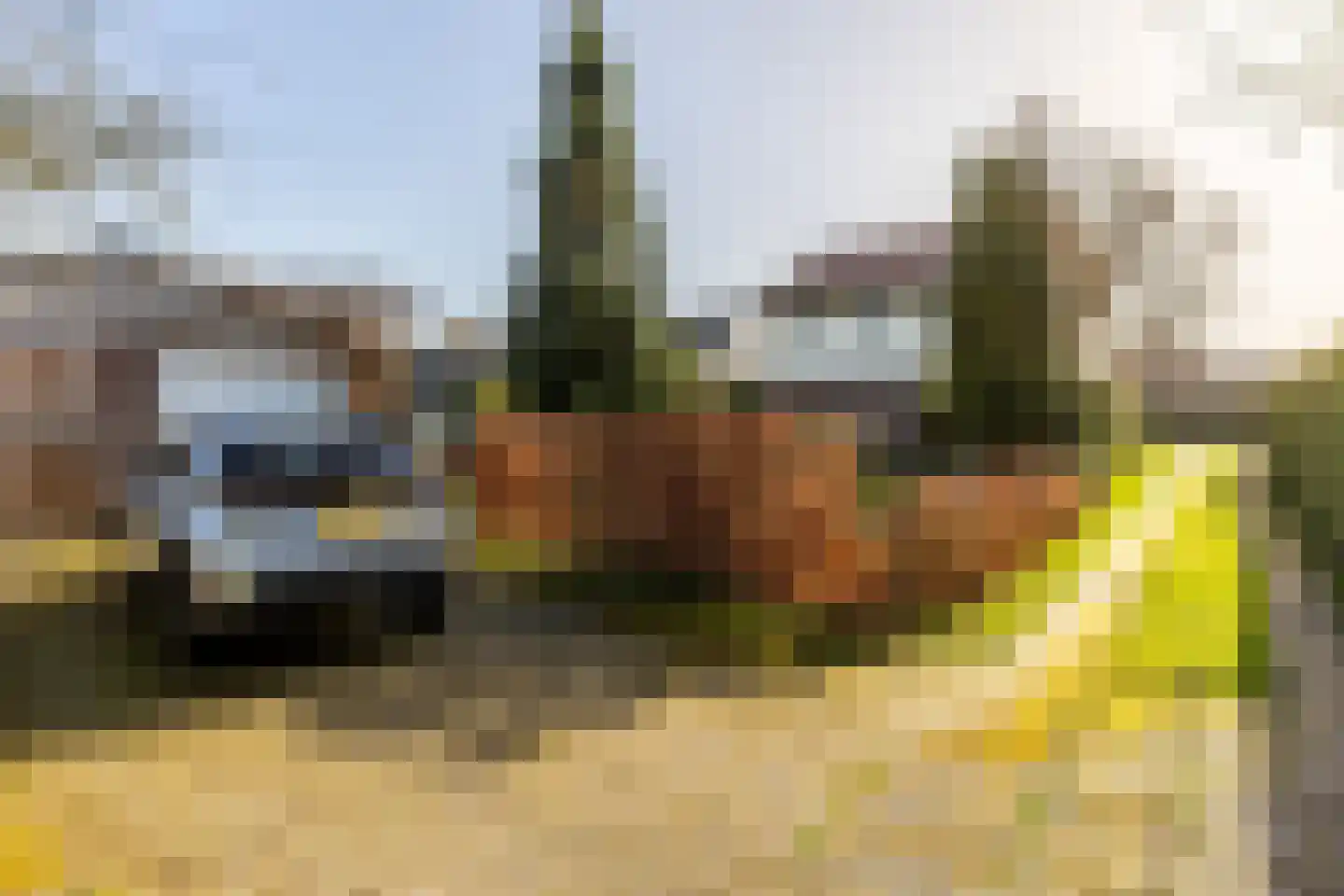 Brielseweg 23 Oostvoorne thumbnail 55