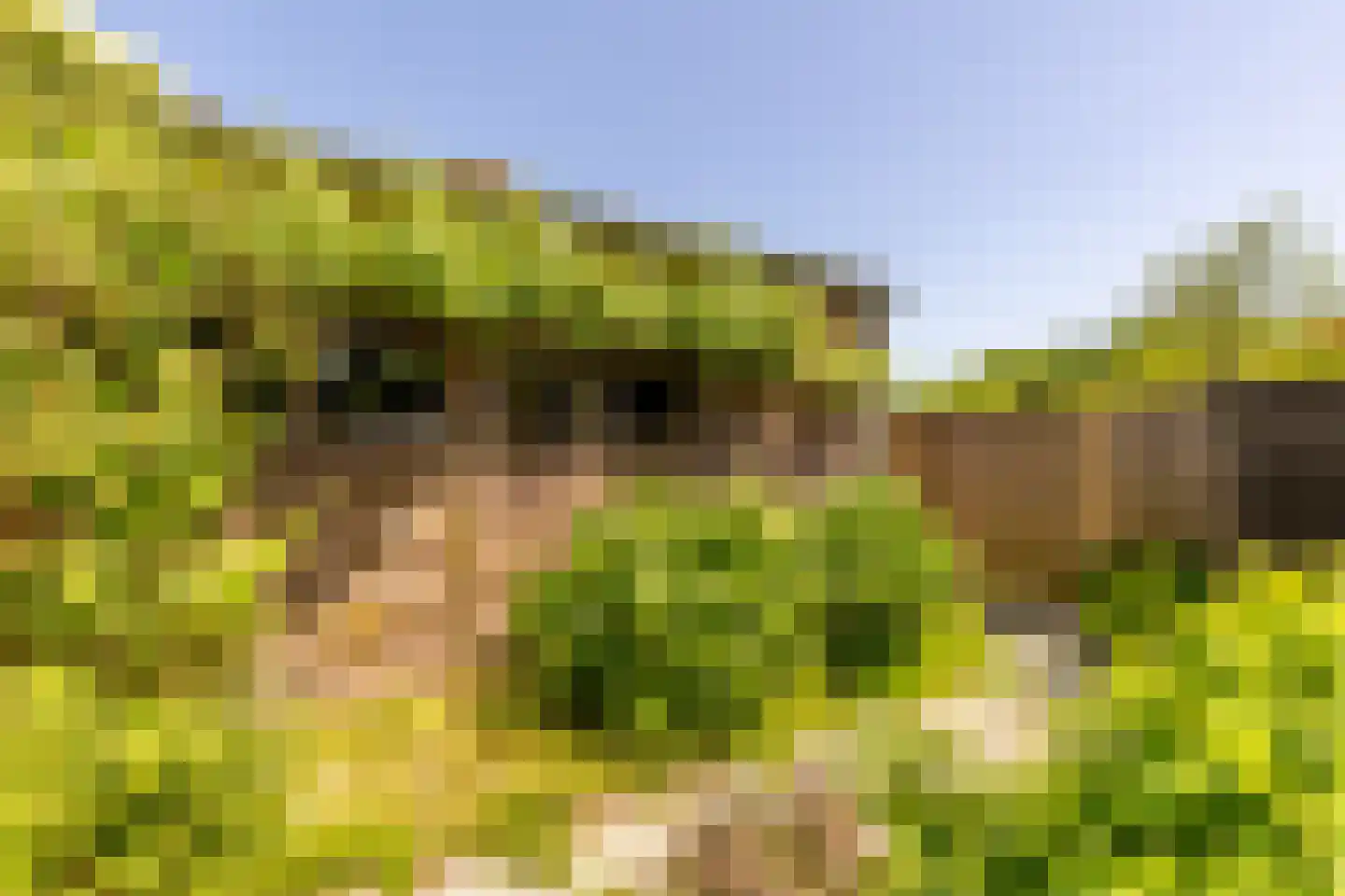 Brielseweg 23 Oostvoorne thumbnail 55
