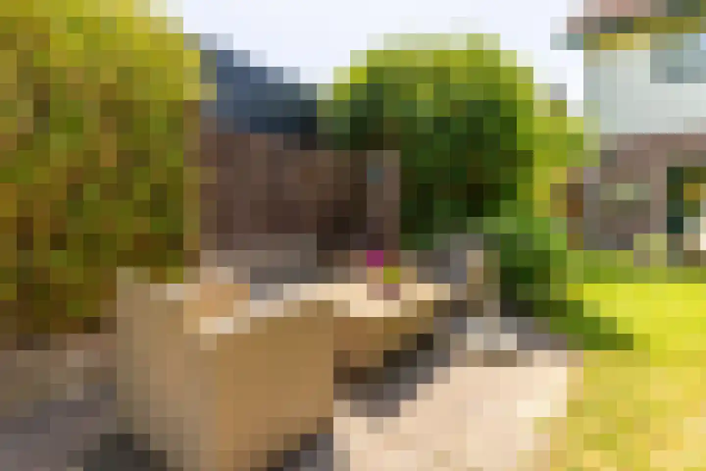 Brielseweg 23 Oostvoorne thumbnail 56