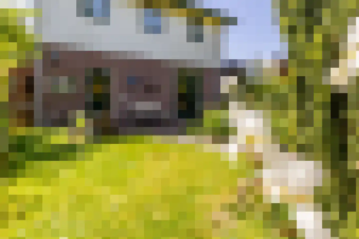 Brielseweg 23 Oostvoorne thumbnail 57