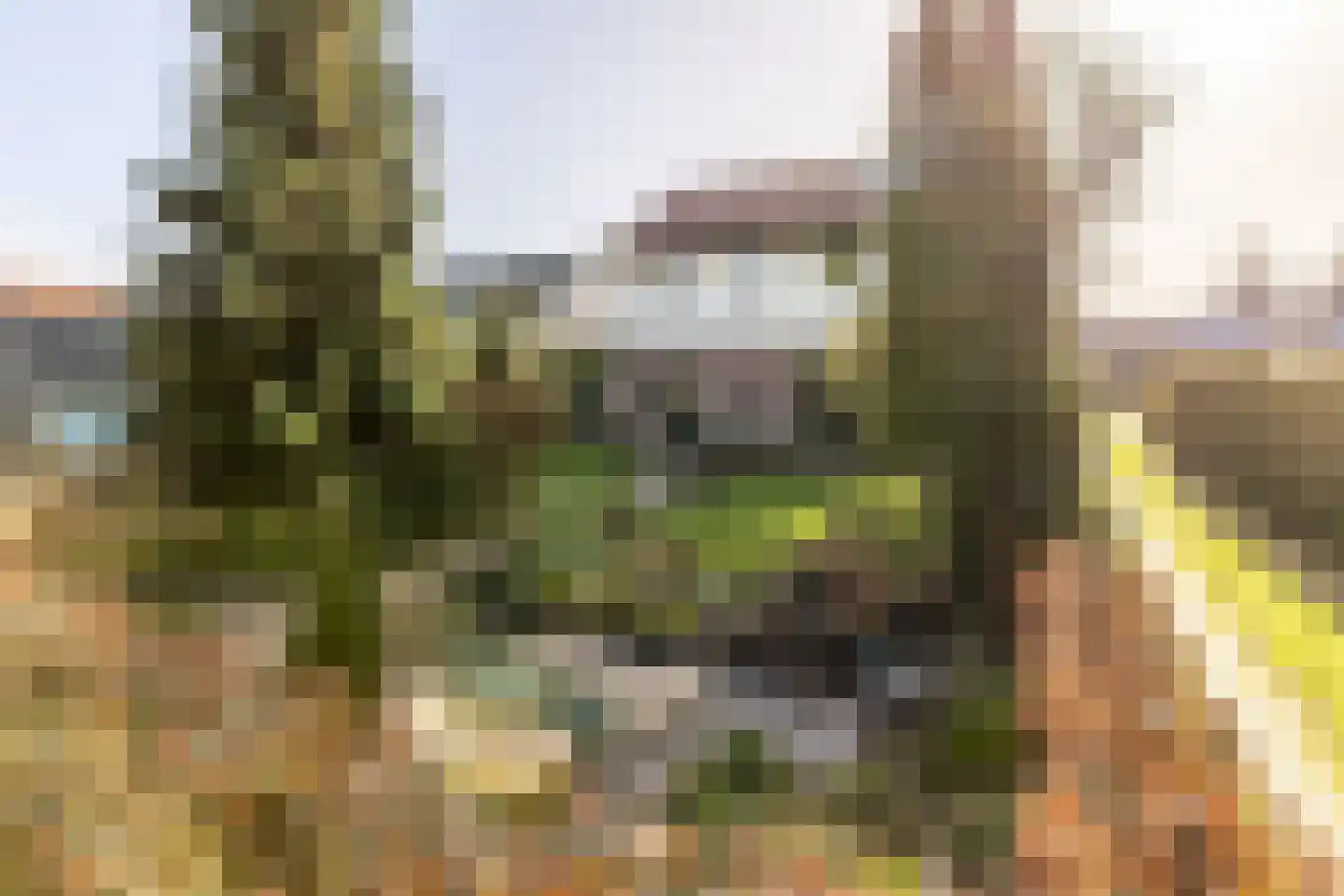 Brielseweg 23 Oostvoorne thumbnail 57