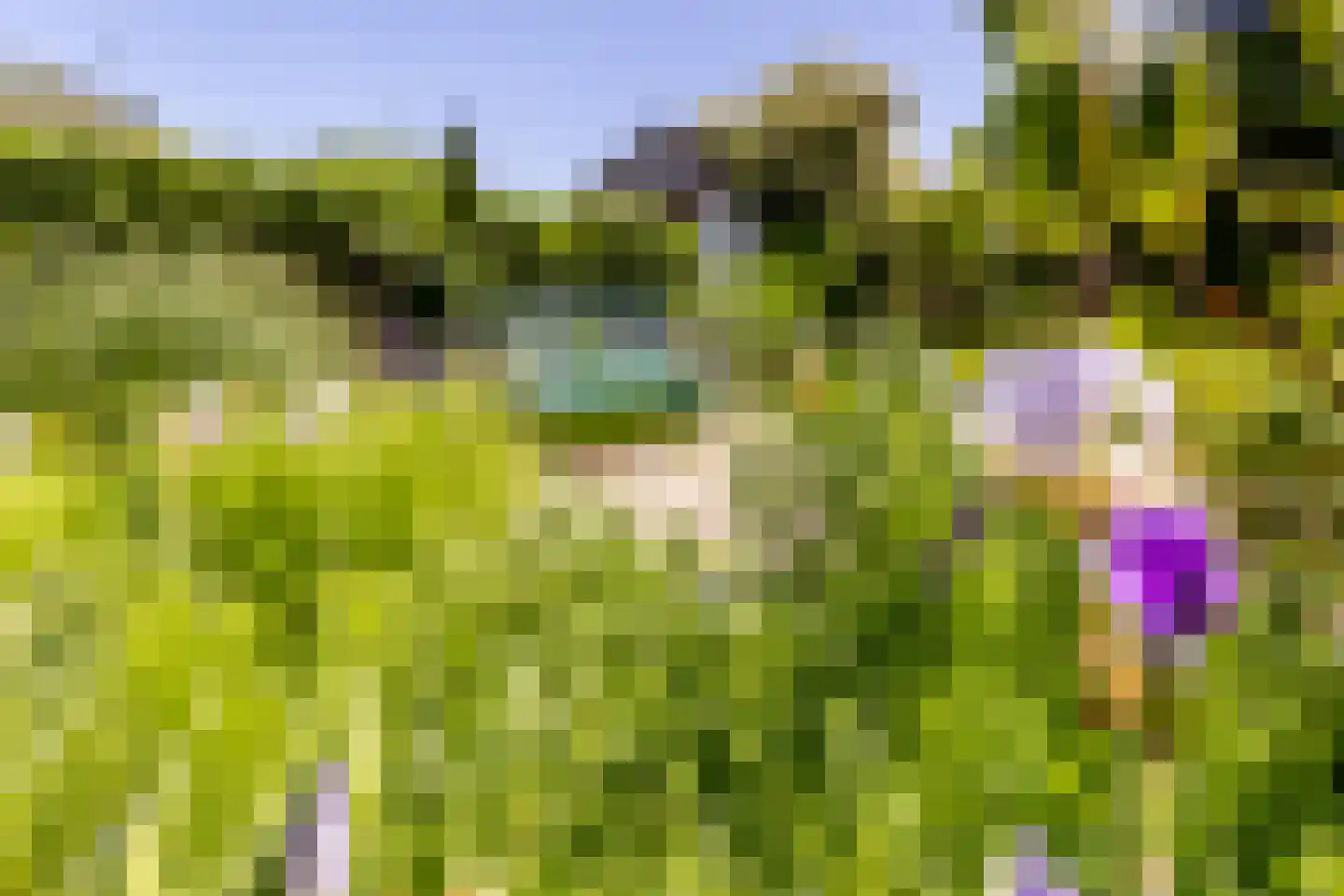 Brielseweg 23 Oostvoorne thumbnail 58