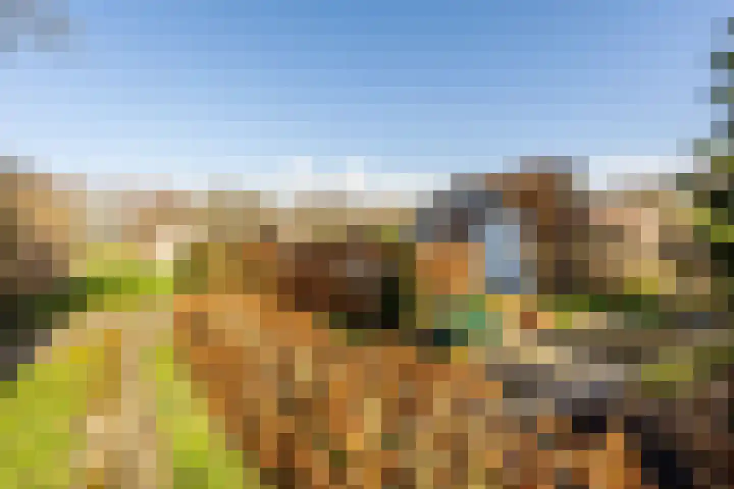 Brielseweg 23 Oostvoorne thumbnail 58