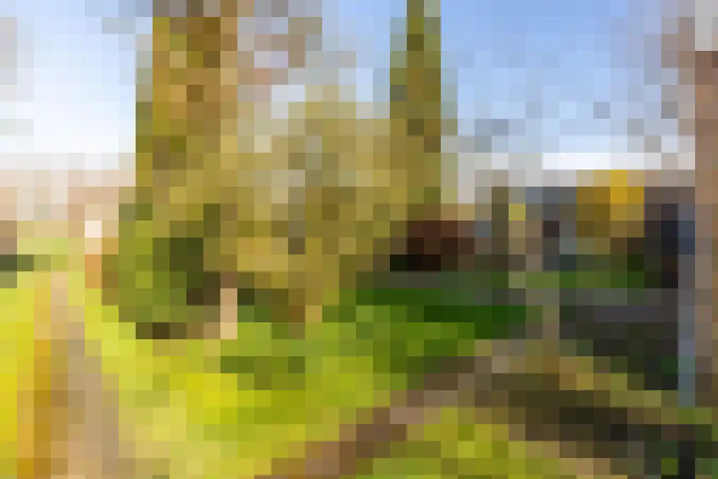 Brielseweg 23 Oostvoorne thumbnail 59
