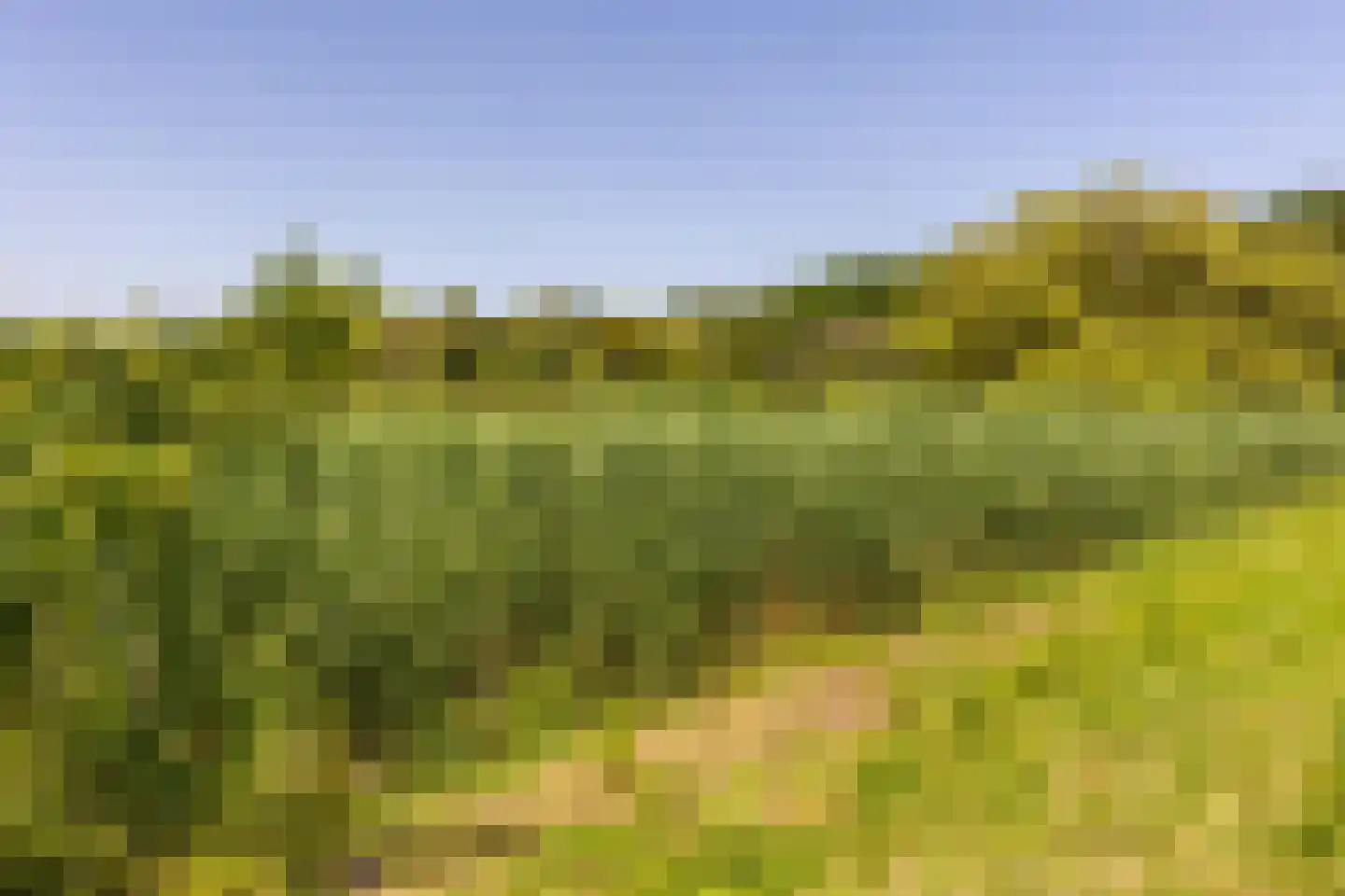 Brielseweg 23 Oostvoorne thumbnail 59
