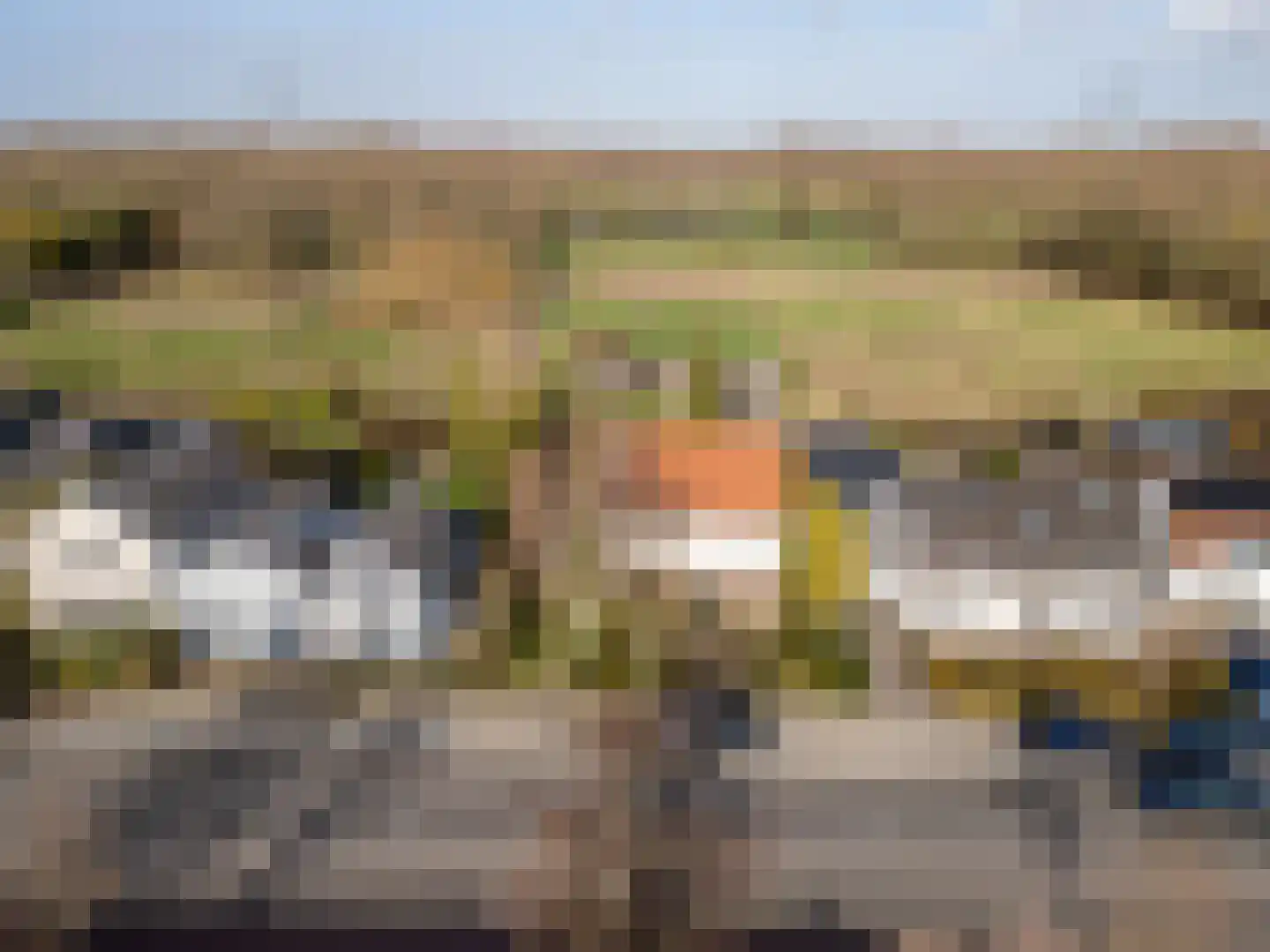 Brielseweg 23 Oostvoorne thumbnail 6