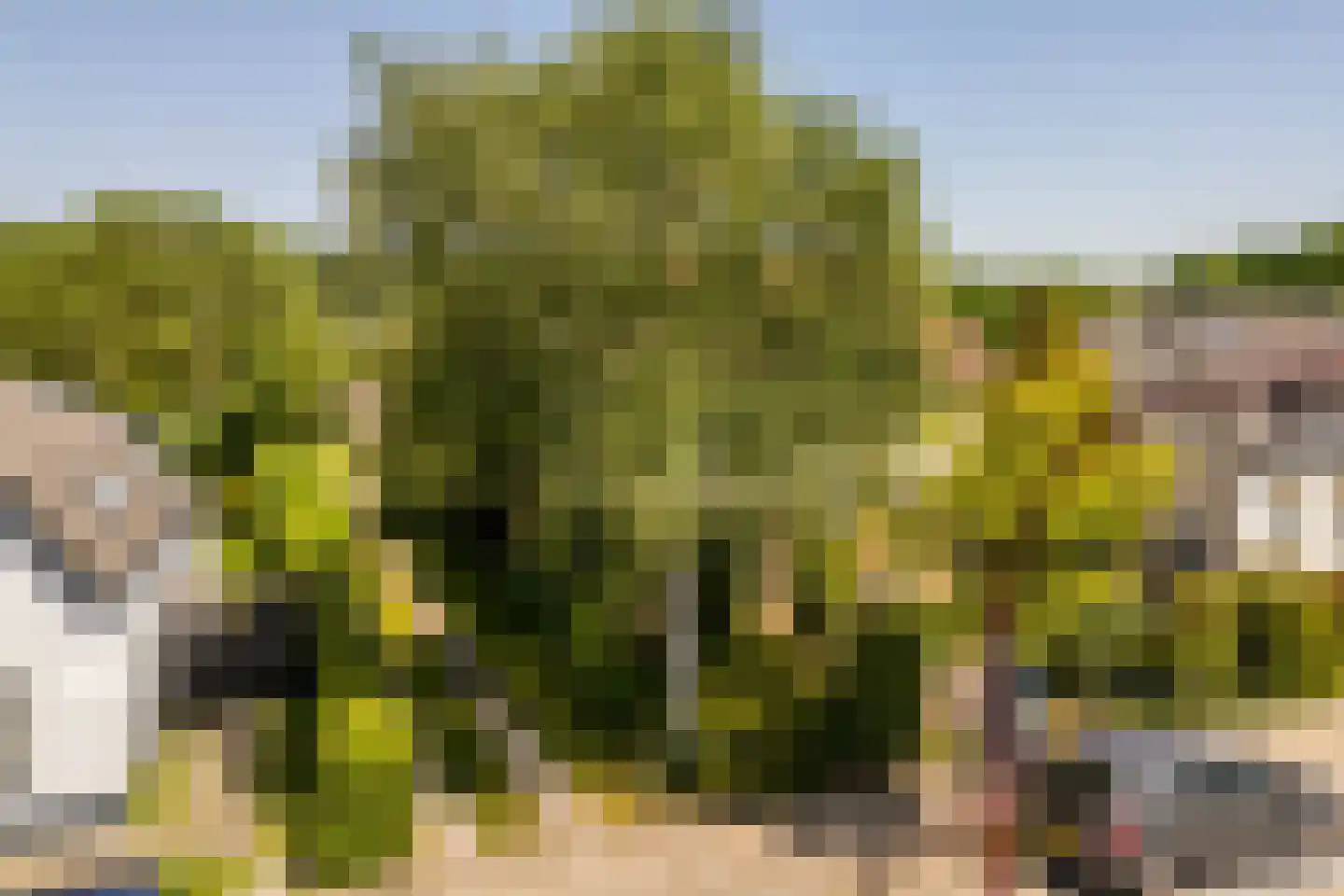 Brielseweg 23 Oostvoorne thumbnail 61