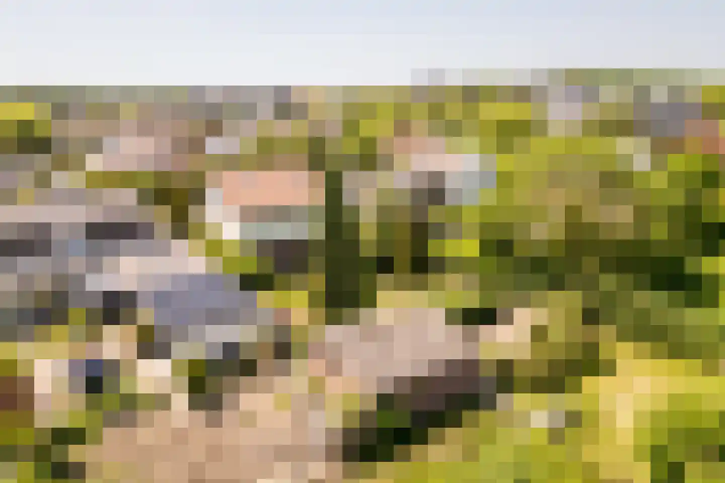 Brielseweg 23 Oostvoorne thumbnail 64