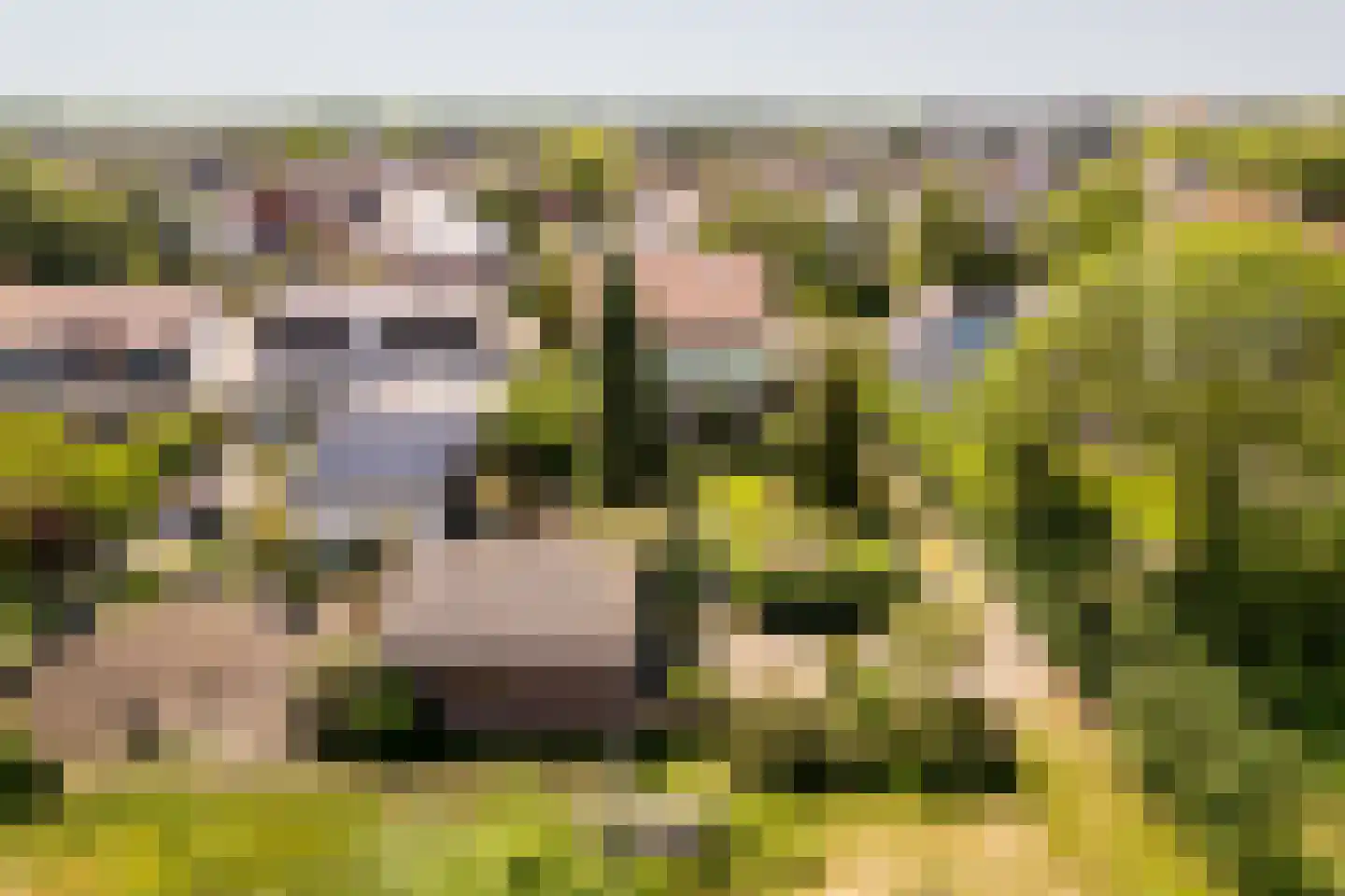 Brielseweg 23 Oostvoorne thumbnail 65
