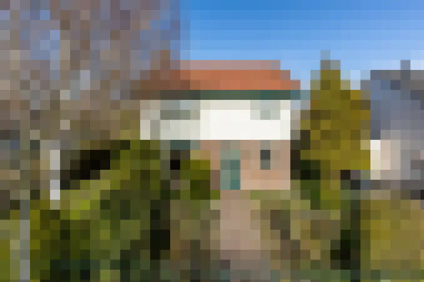 Brielseweg 23 Oostvoorne thumbnail 8