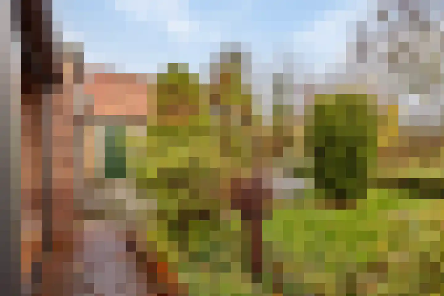 Brielseweg 37 Oostvoorne thumbnail 28
