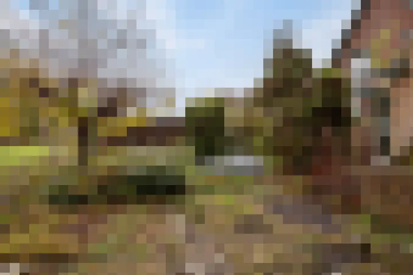 Brielseweg 37 Oostvoorne thumbnail 29