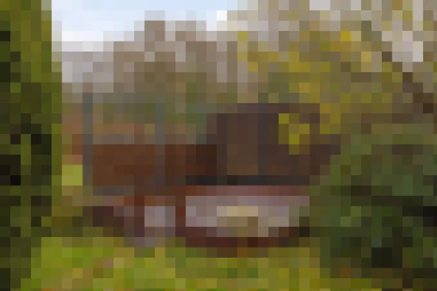 Brielseweg 37 Oostvoorne thumbnail 30