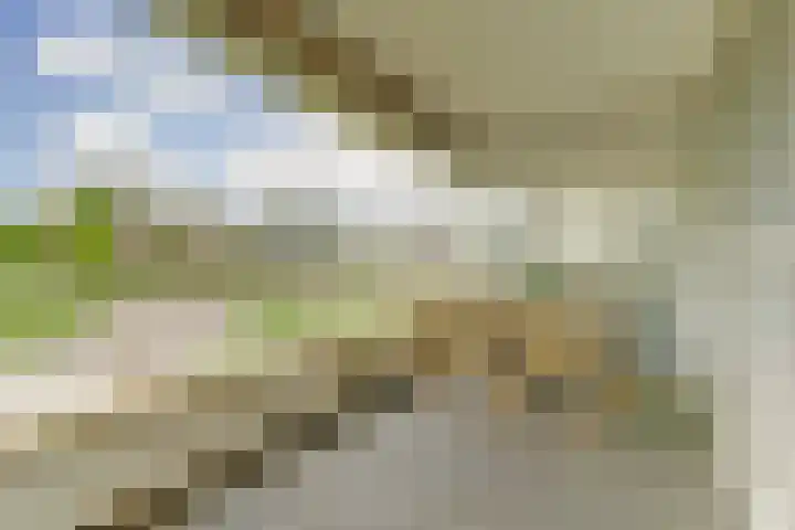 Brienenshofsingel 13 Elst thumbnail 17
