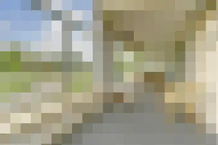 Brienenshofsingel 13 Elst thumbnail 19