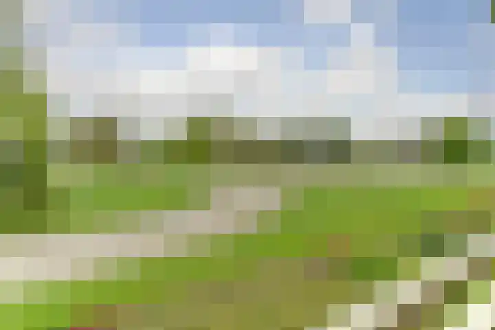 Brienenshofsingel 13 Elst thumbnail 20