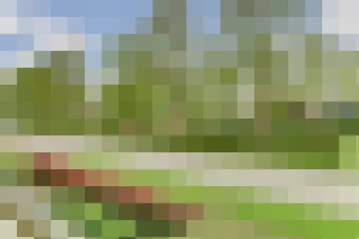 Brienenshofsingel 13 Elst thumbnail 21
