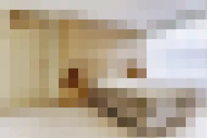Brienenshofsingel 13 Elst thumbnail 27
