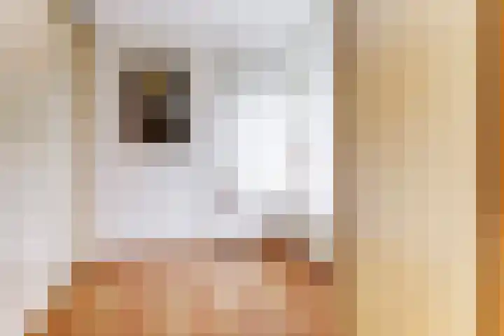Brienenshofsingel 13 Elst thumbnail 28