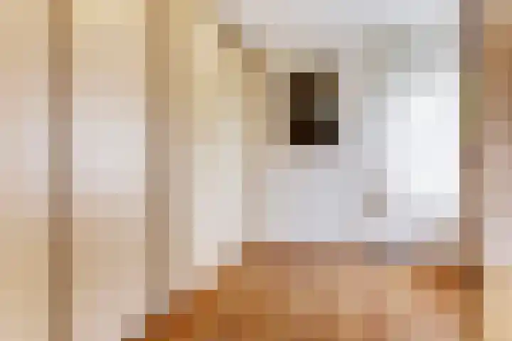 Brienenshofsingel 13 Elst thumbnail 29