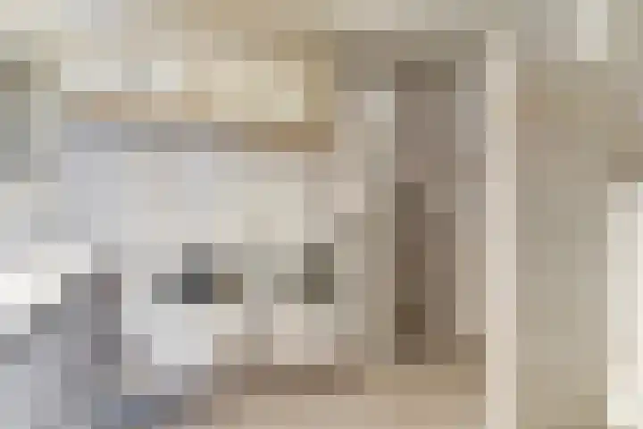 Brienenshofsingel 13 Elst thumbnail 30