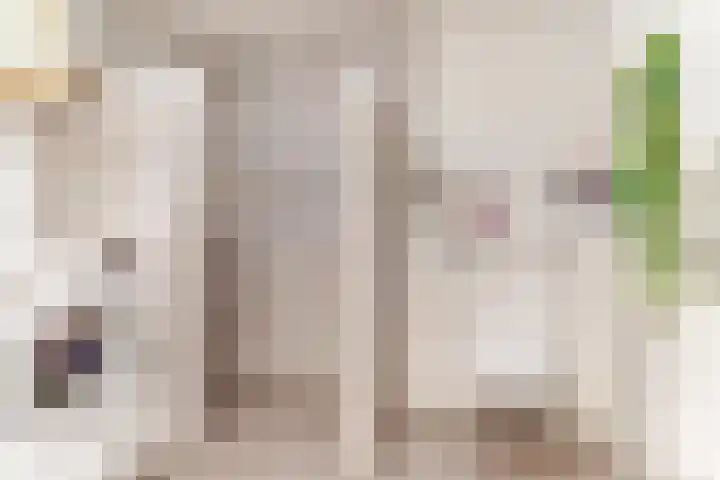Brienenshofsingel 13 Elst thumbnail 31