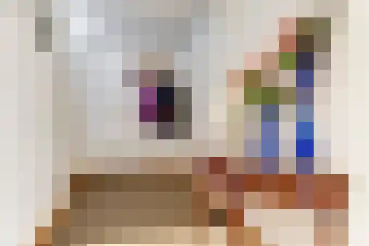Brienenshofsingel 13 Elst thumbnail 7