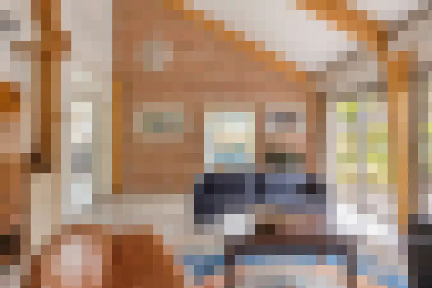 Brienenshofsingel 3 Elst thumbnail 13
