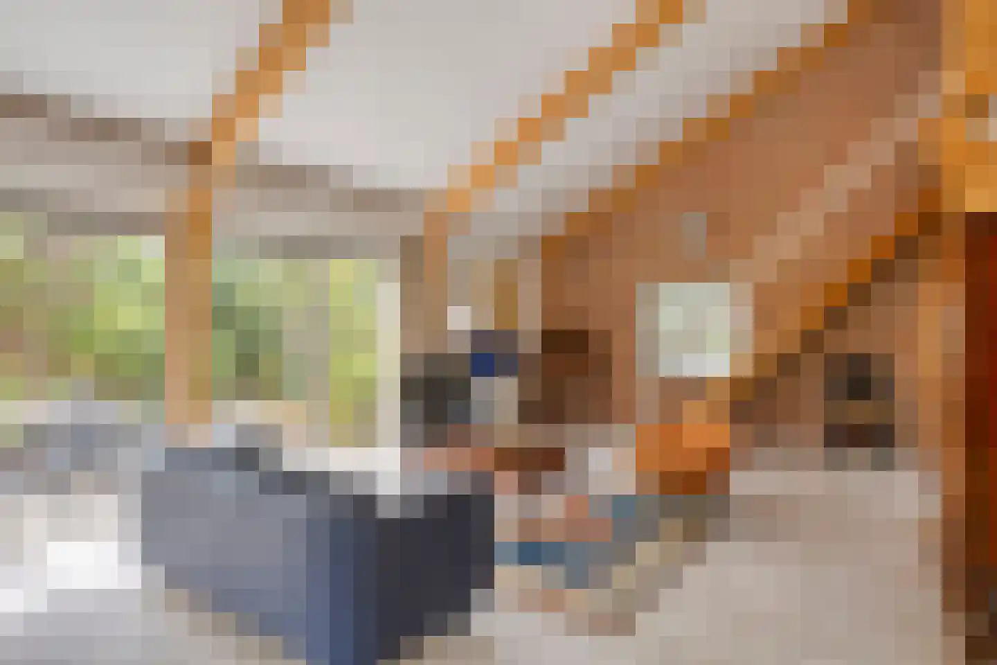 Brienenshofsingel 3 Elst thumbnail 16
