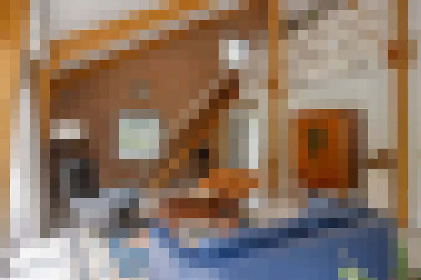 Brienenshofsingel 3 Elst thumbnail 17
