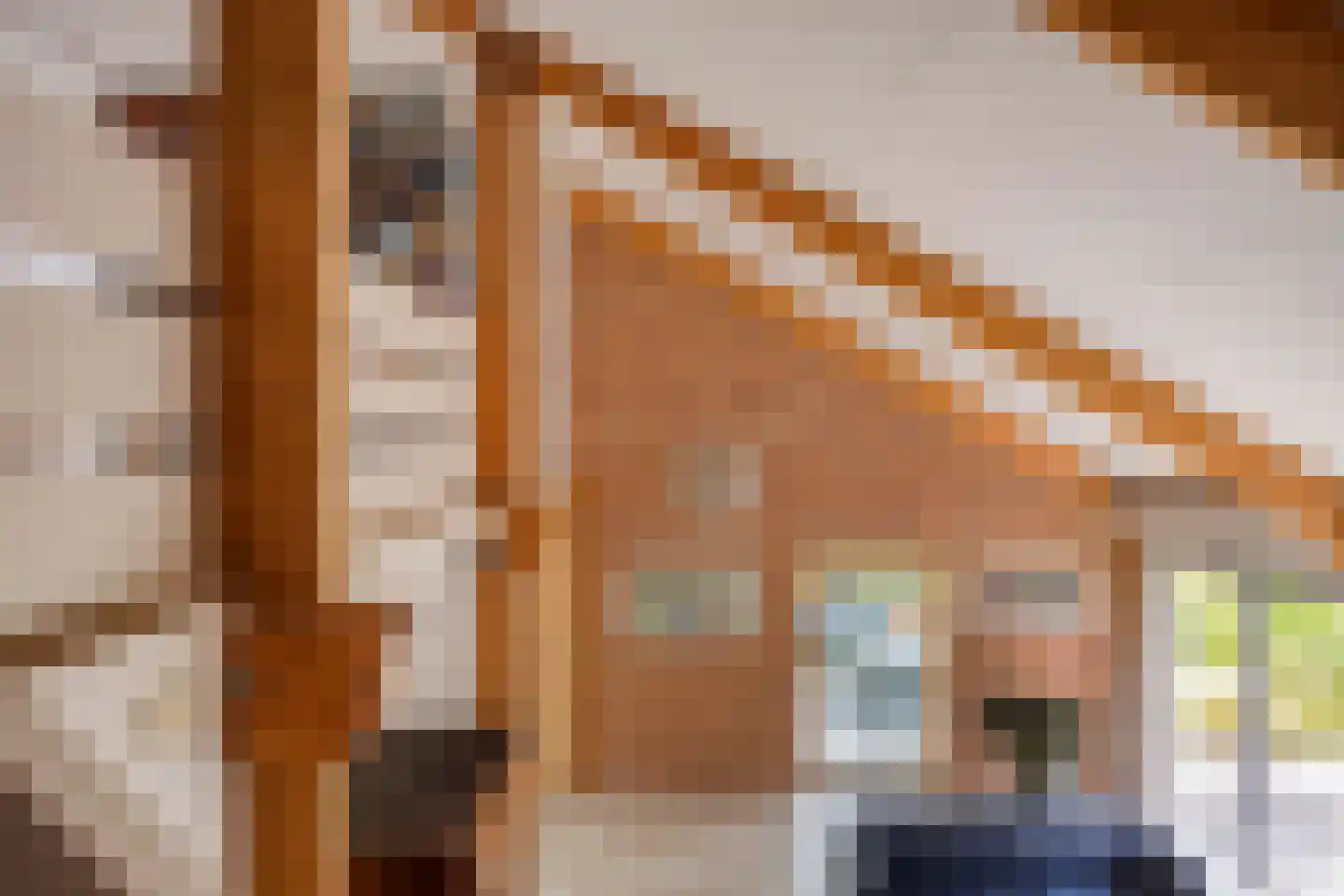 Brienenshofsingel 3 Elst thumbnail 22