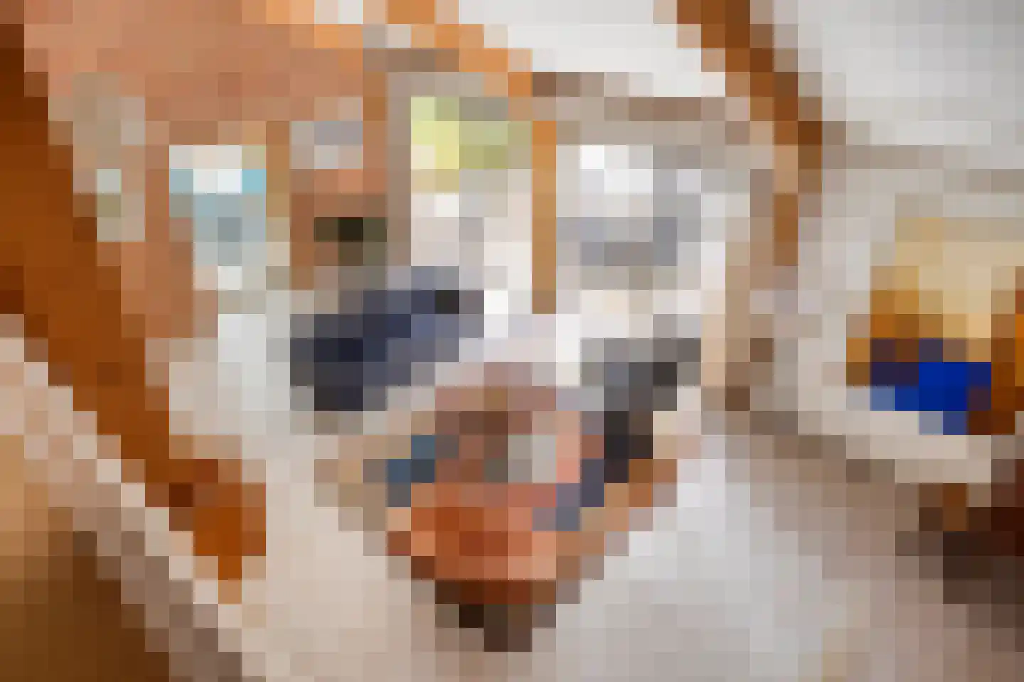 Brienenshofsingel 3 Elst thumbnail 23