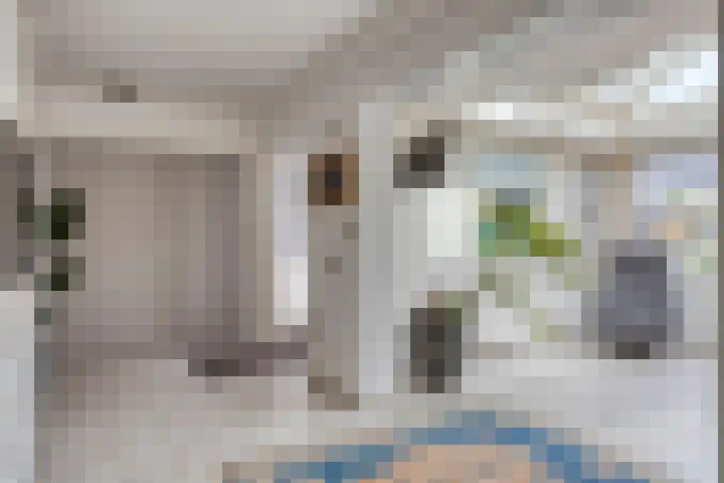 Brienenshofsingel 3 Elst thumbnail 24