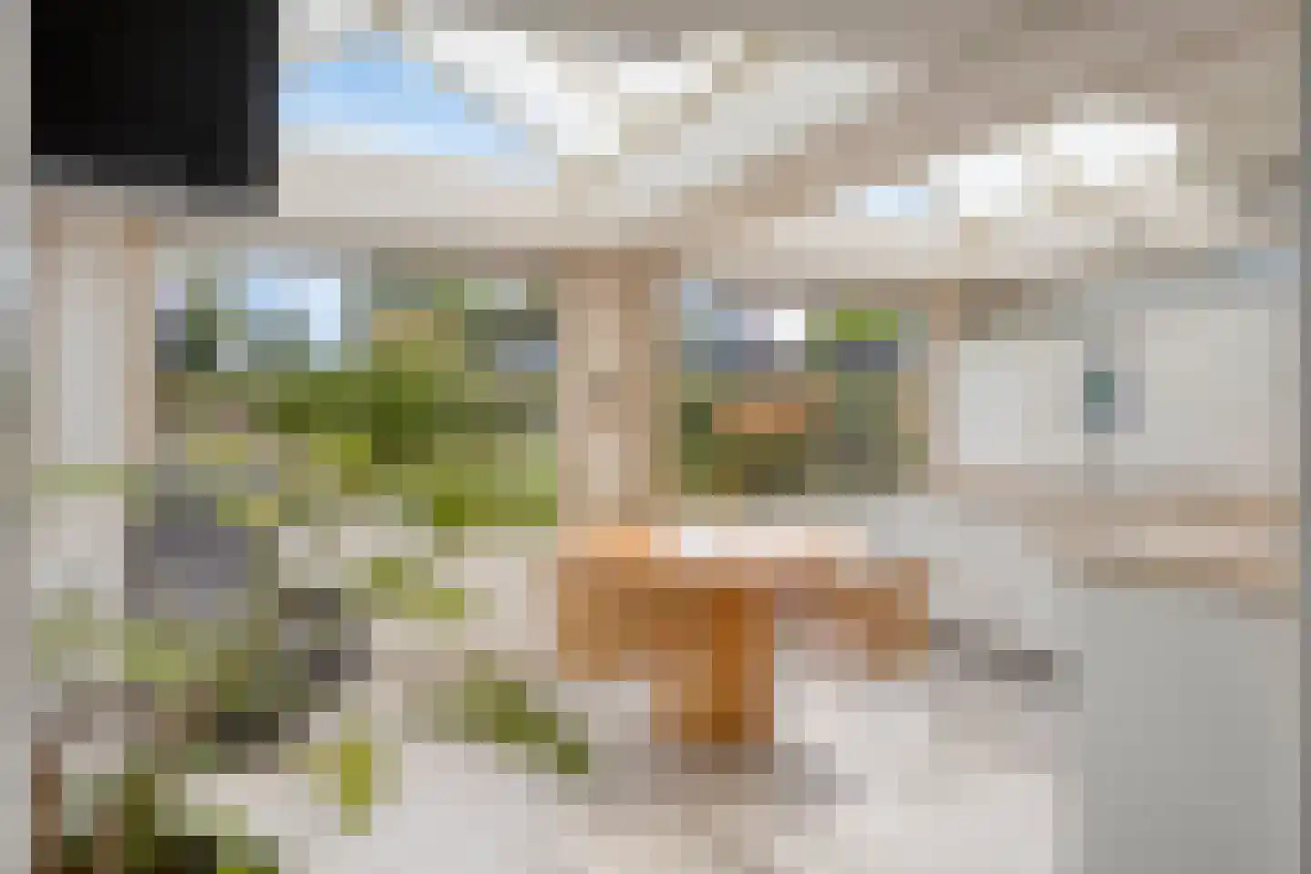 Brienenshofsingel 3 Elst thumbnail 26