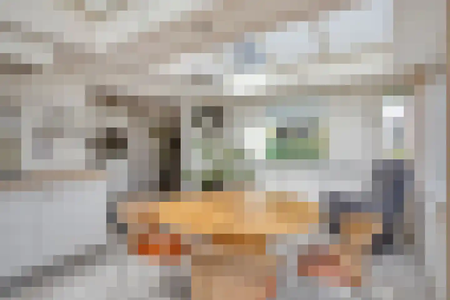 Brienenshofsingel 3 Elst thumbnail 29