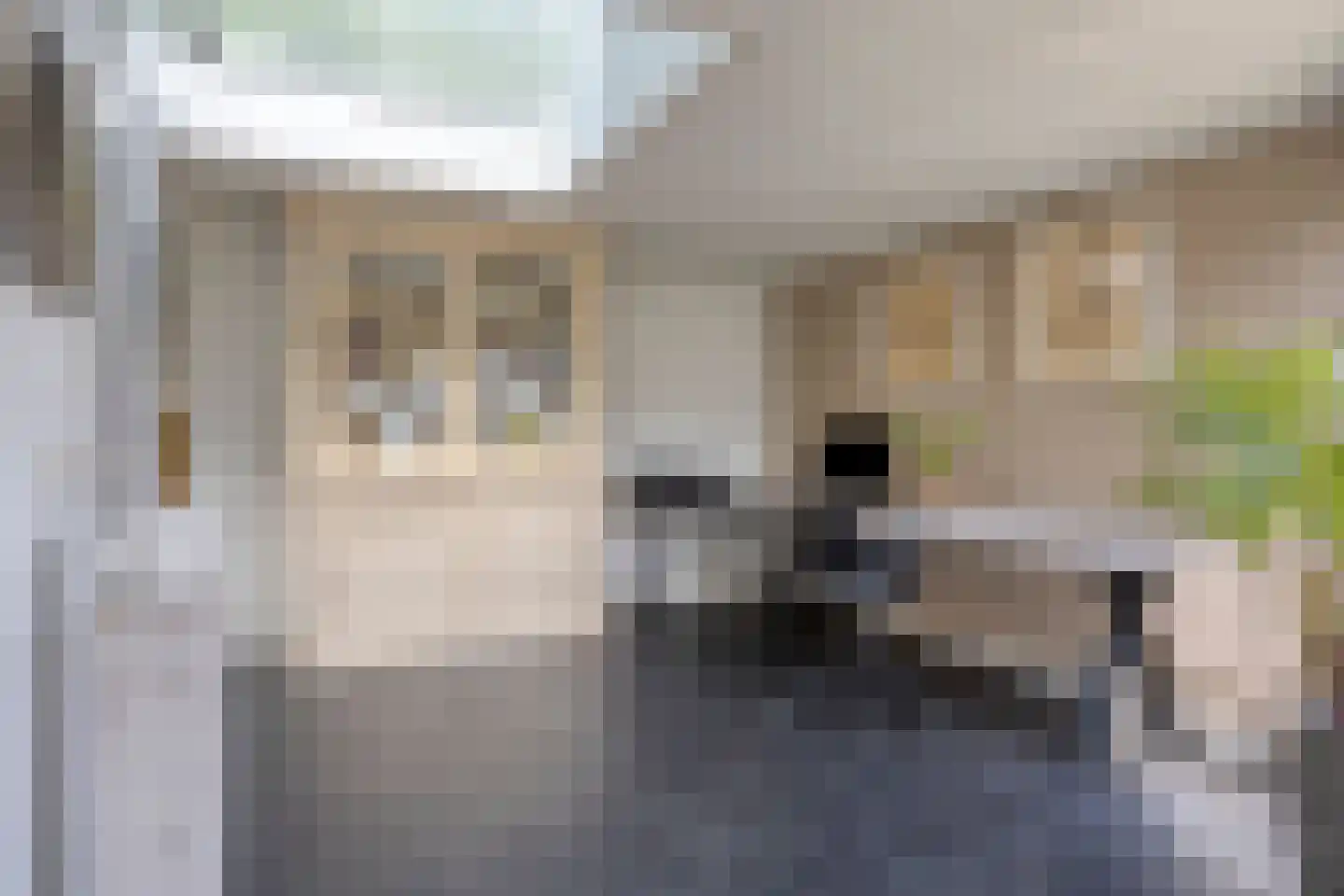 Brienenshofsingel 3 Elst thumbnail 32