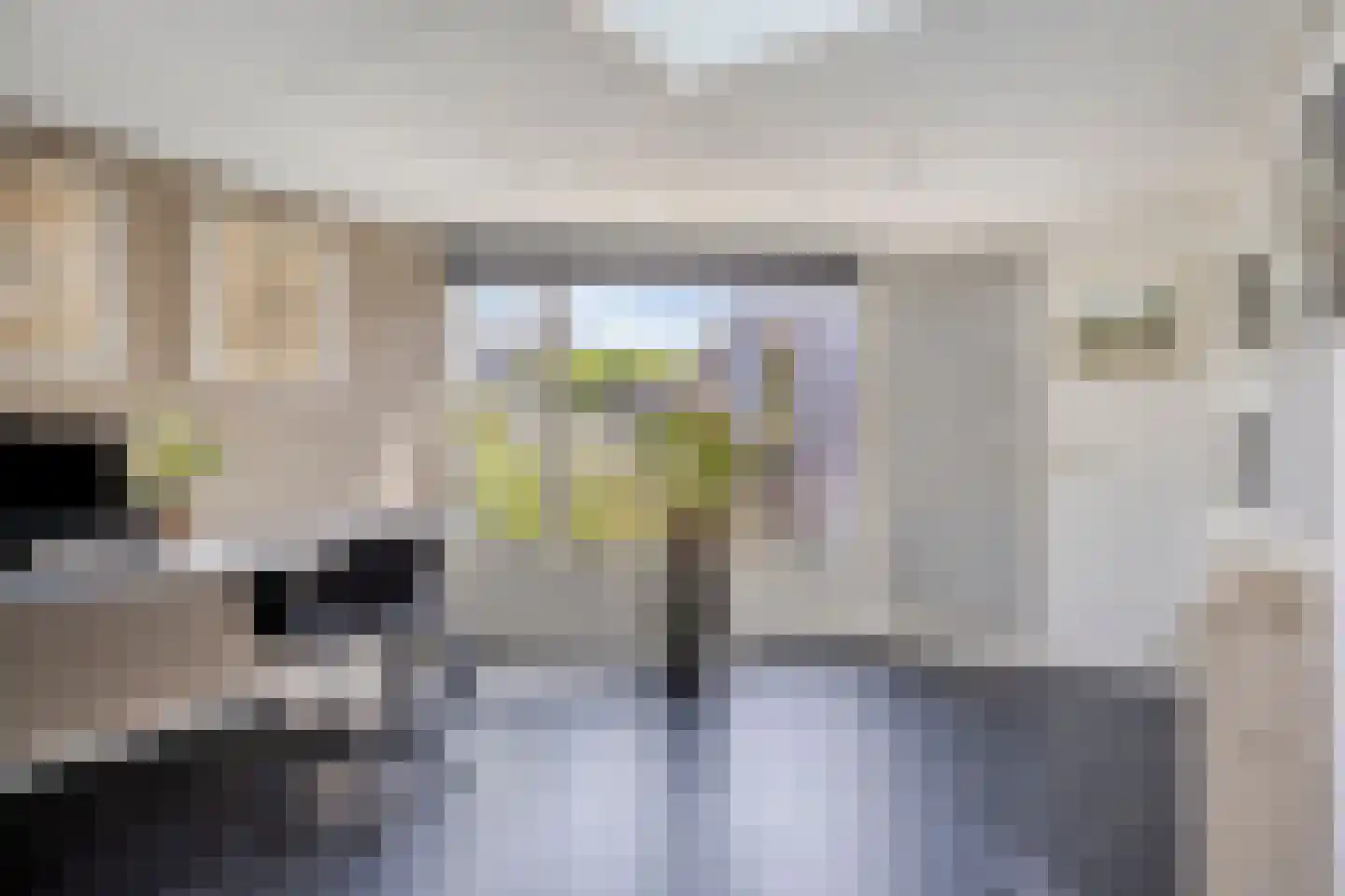 Brienenshofsingel 3 Elst thumbnail 33