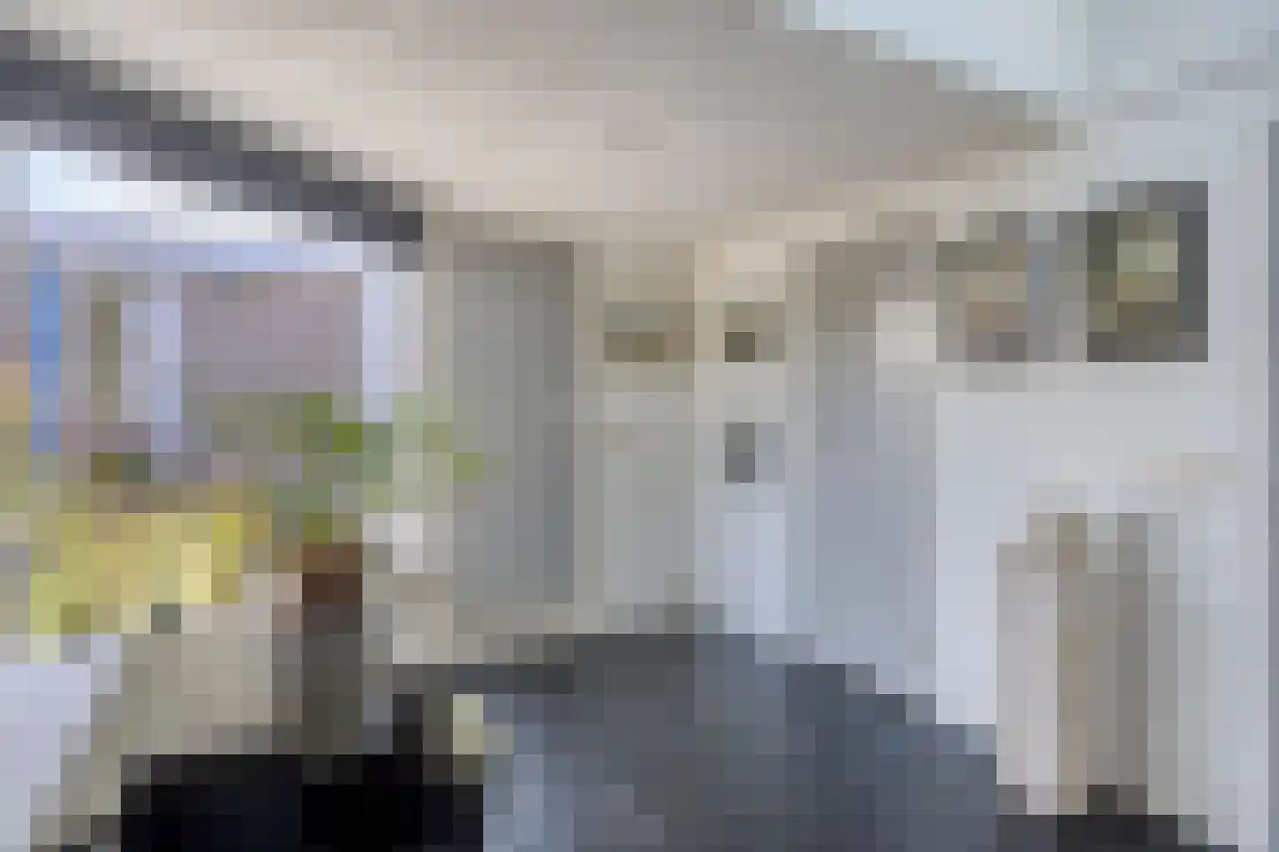 Brienenshofsingel 3 Elst thumbnail 34