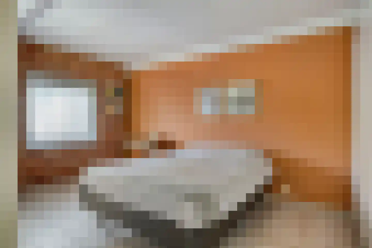 Brienenshofsingel 3 Elst thumbnail 36