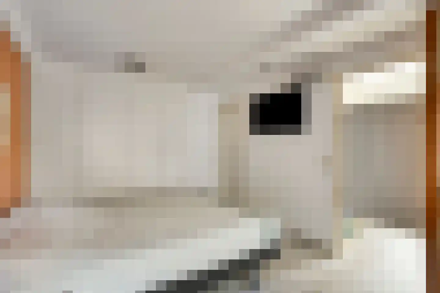 Brienenshofsingel 3 Elst thumbnail 37