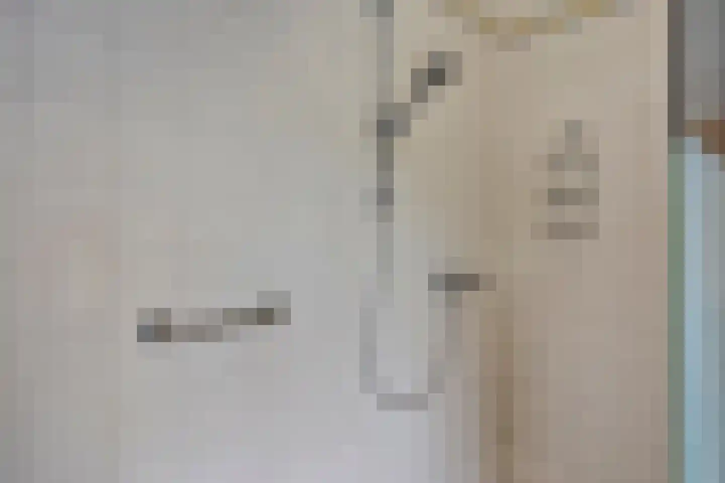 Brienenshofsingel 3 Elst thumbnail 39