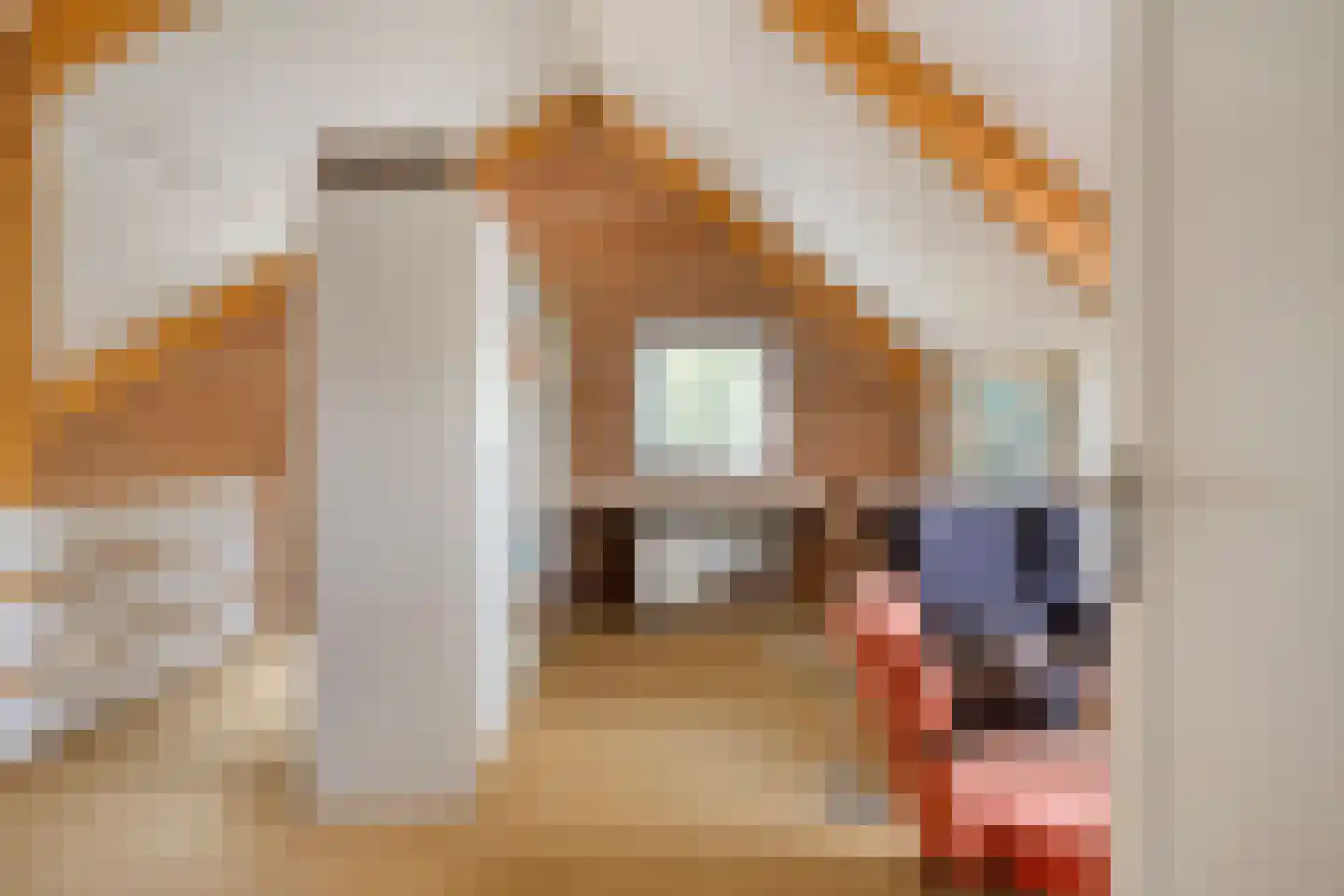 Brienenshofsingel 3 Elst thumbnail 42