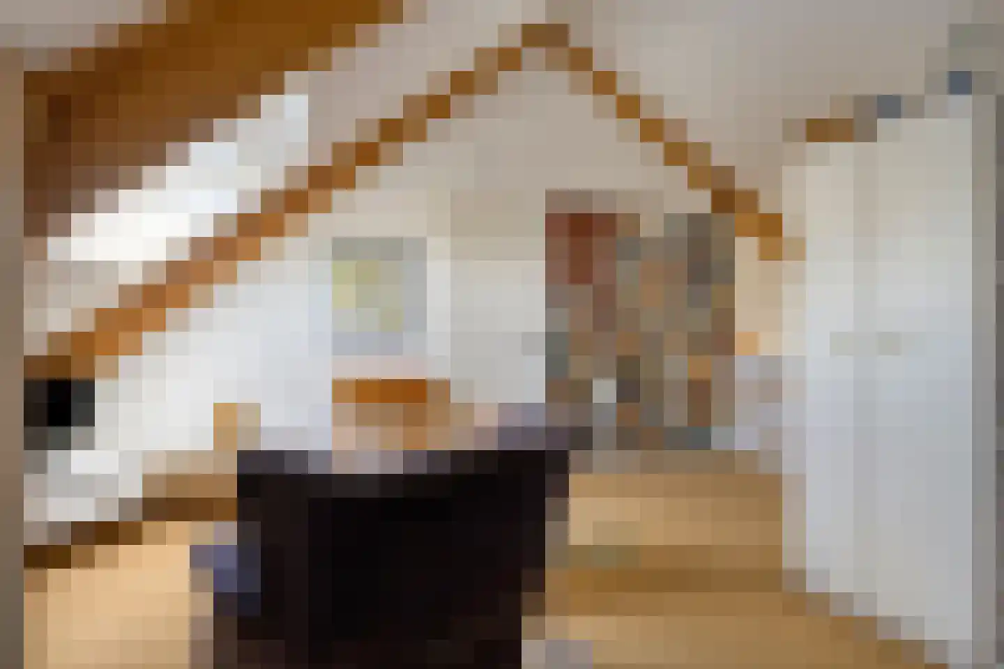 Brienenshofsingel 3 Elst thumbnail 43