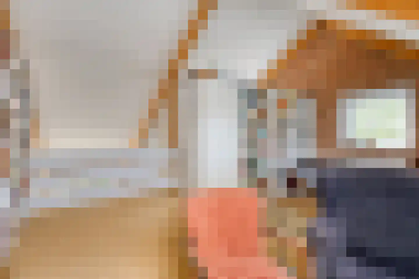 Brienenshofsingel 3 Elst thumbnail 44