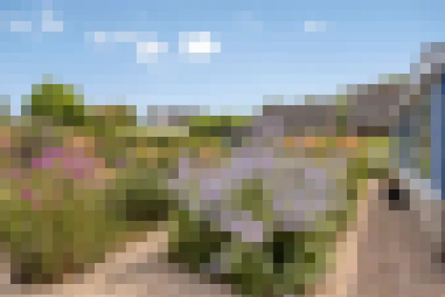 Brienenshofsingel 3 Elst thumbnail 50