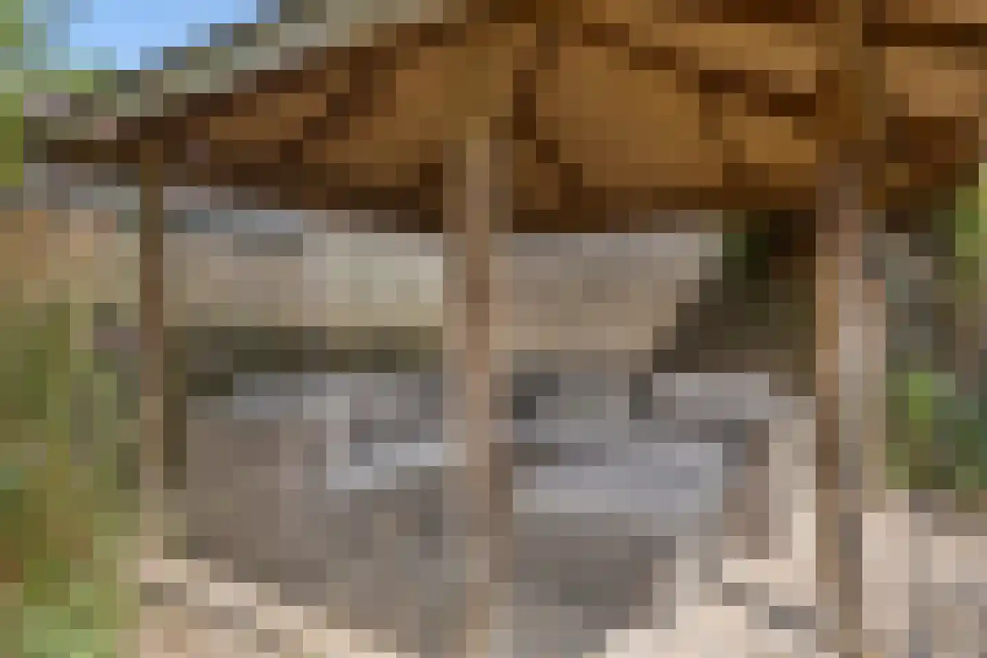 Brienenshofsingel 3 Elst thumbnail 51