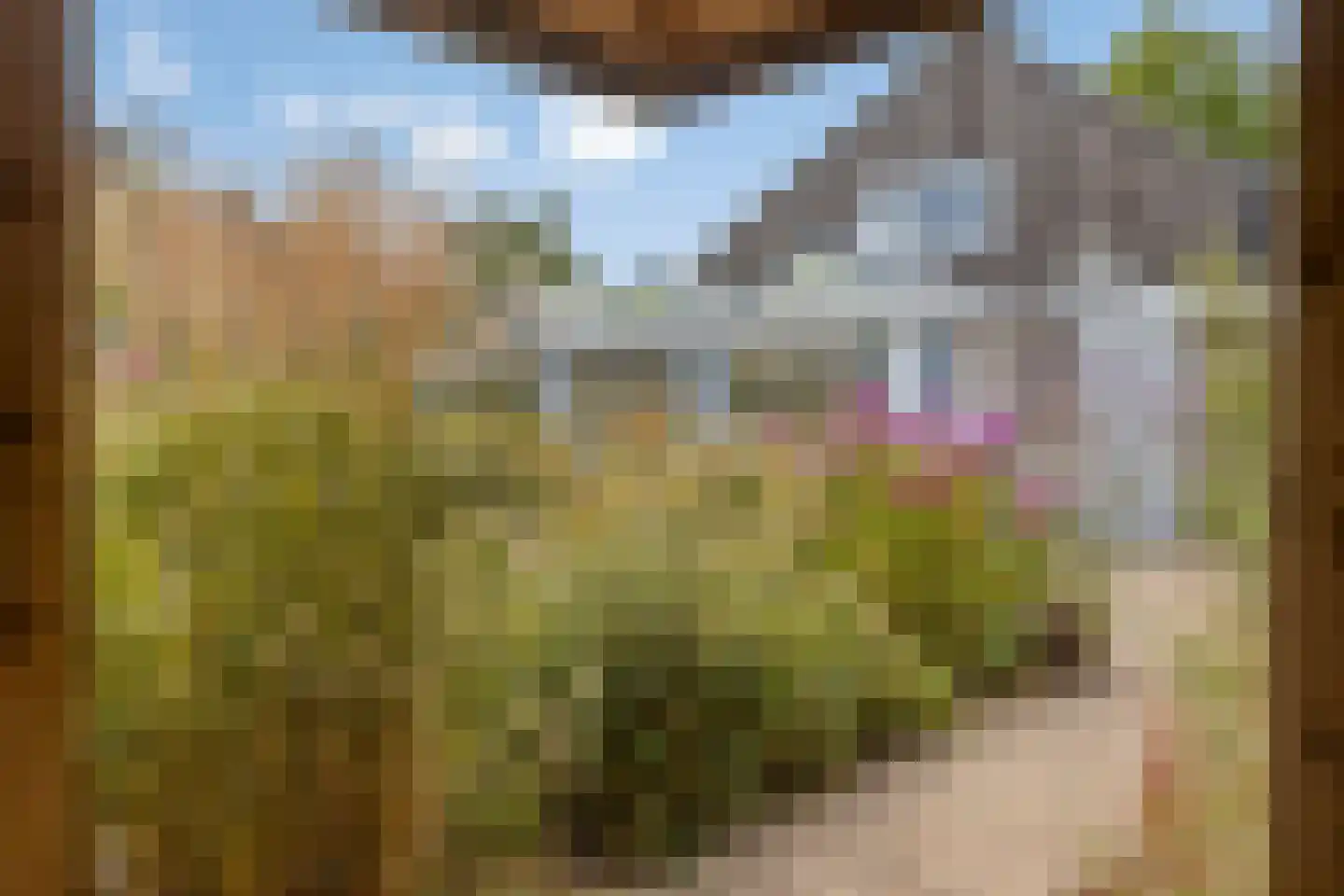 Brienenshofsingel 3 Elst thumbnail 52