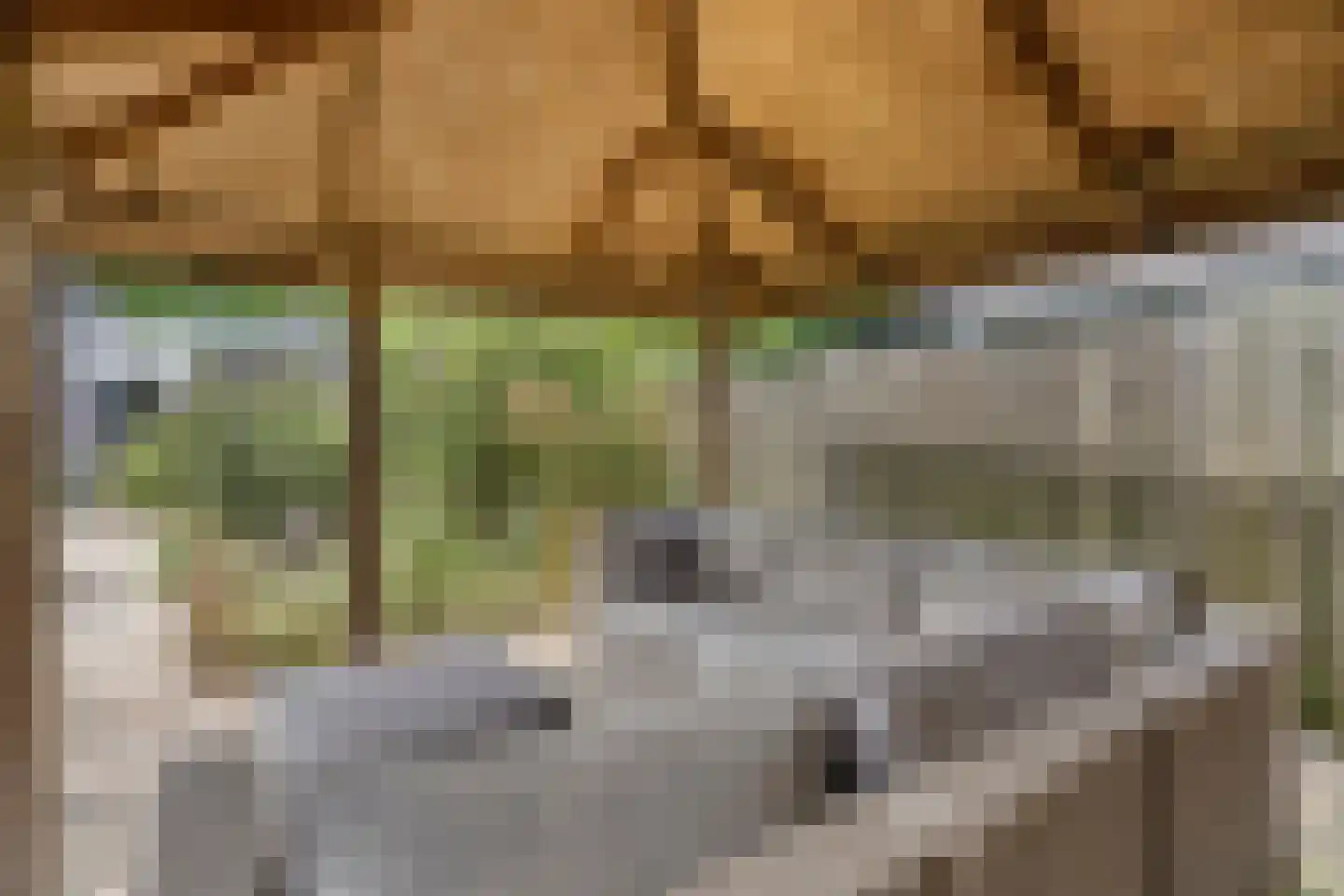 Brienenshofsingel 3 Elst thumbnail 53