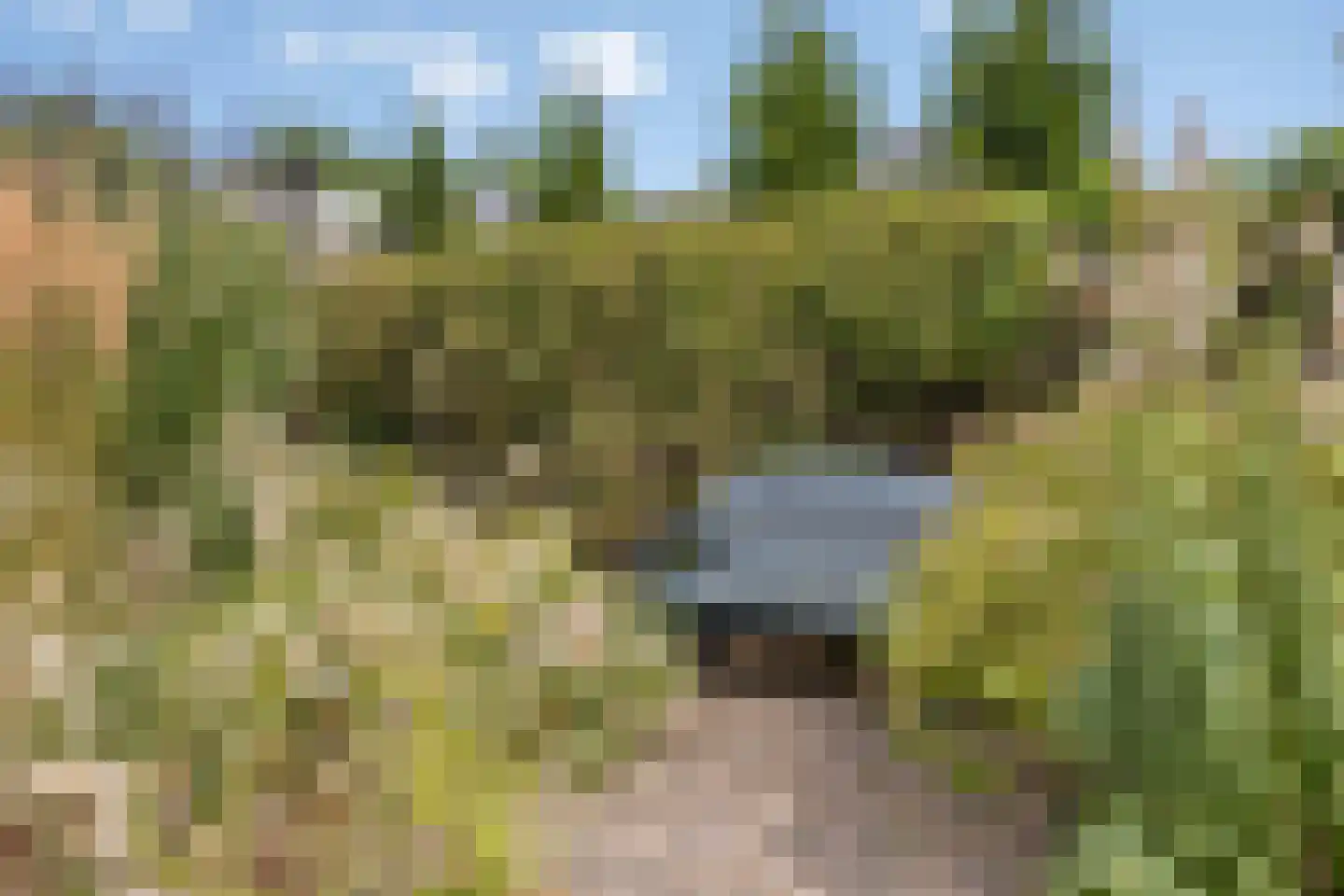 Brienenshofsingel 3 Elst thumbnail 54