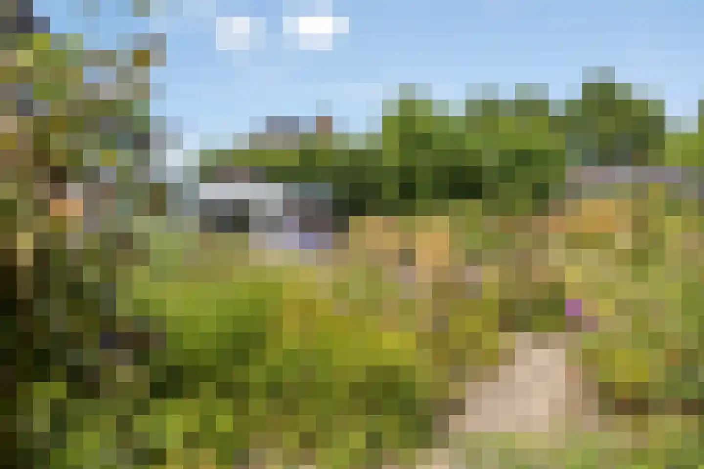 Brienenshofsingel 3 Elst thumbnail 57